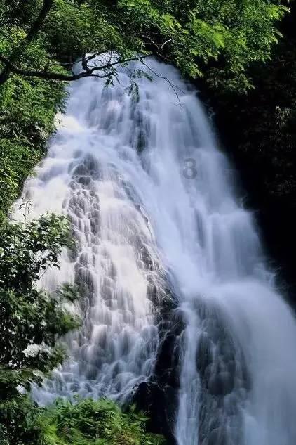 竞技宝登录